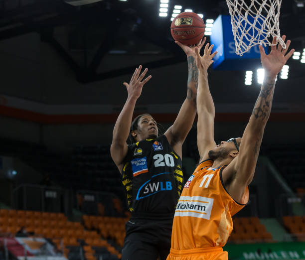 森林狼的半 森林狼的半